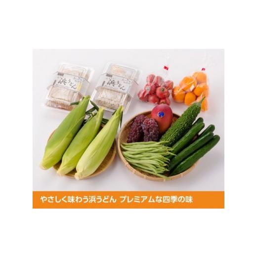 ふるさと納税 宮崎県 川南町 「料亭赤坂」浜うどんと採れたて旬菜果プレミアム 