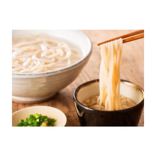 ふるさと納税 宮崎県 川南町 「料亭赤坂」浜うどんと採れたて旬菜果プレミアム 