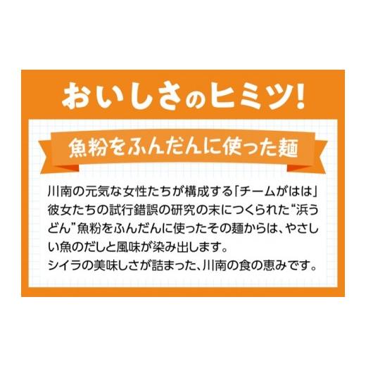 ふるさと納税 宮崎県 川南町 「料亭赤坂」浜うどんと採れたて旬菜果プレミアム 