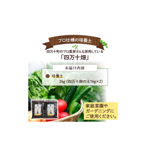 P-594大樋焼 菓子鉢／茶碗 共箱 茶道具 共箱入り 未使用保管品 共箱付