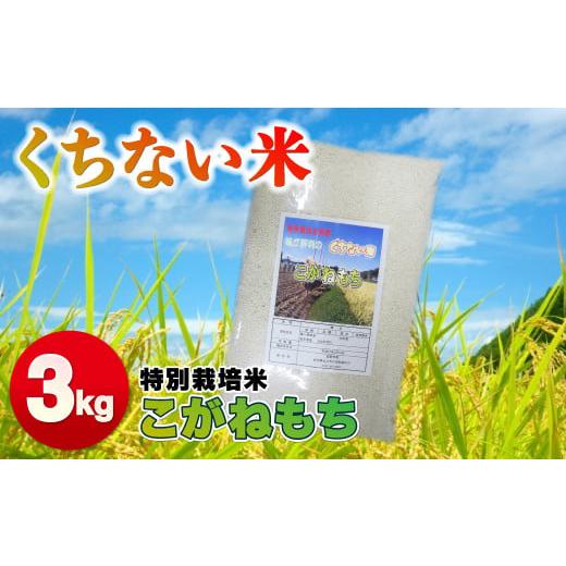 ふるさと納税 岩手県 北上市 令和5年産 くちない米 (こがねもち 白米) 3kg もち米 精米 こがねもち