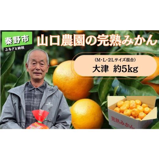 ふるさと納税 果物類 みかん 神奈川県 秦野市 12月下旬発送 数量限定 山口農園の完熟みかん大津（Ｍ，Ｌ，２Ｌサイズ混合）約5kg（蜜柑 甘い 完熟 家庭用 みか&hellip;