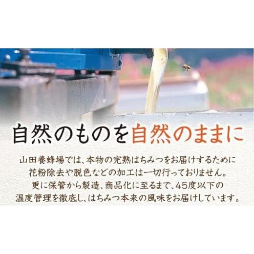 ふるさと納税 加工品等 はちみつ 岡山県 鏡野町 ローズマリー蜂蜜（12552） 006-a048の画像