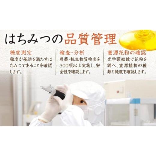 ふるさと納税 加工品等 はちみつ 岡山県 鏡野町 ローズマリー蜂蜜（12552） 006-a048の画像