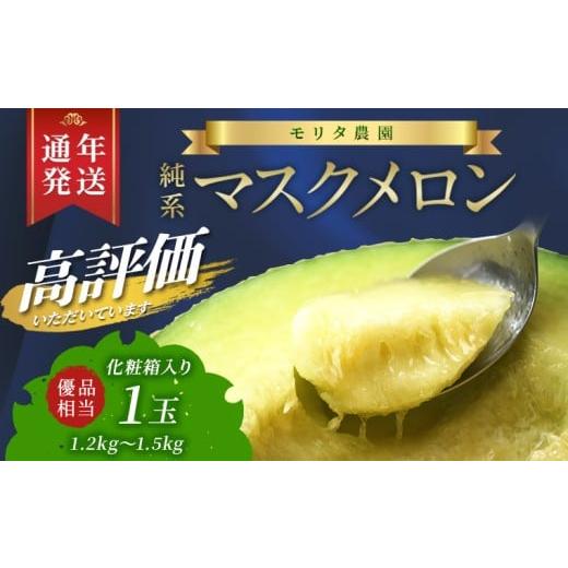 ふるさと納税 メロン メロン青肉 千葉県 富津市 通年栽培 純系マスクメロン1玉(化粧箱入) 5月発送分 マスクメロン メロン フルーツ 果物 1玉 1個 年間 …