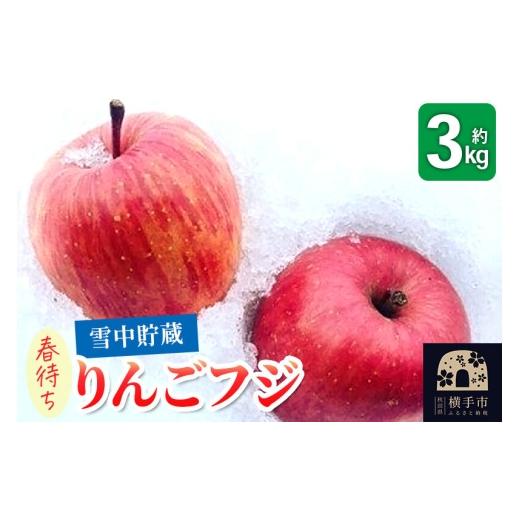 ふるさと納税 りんご 秋田県 横手市 [先行受付 3月上旬より順次発送]雪中貯蔵 春待ちりんご フジ 3kg 先行予約 りんご フジ 希少 りんご 特集