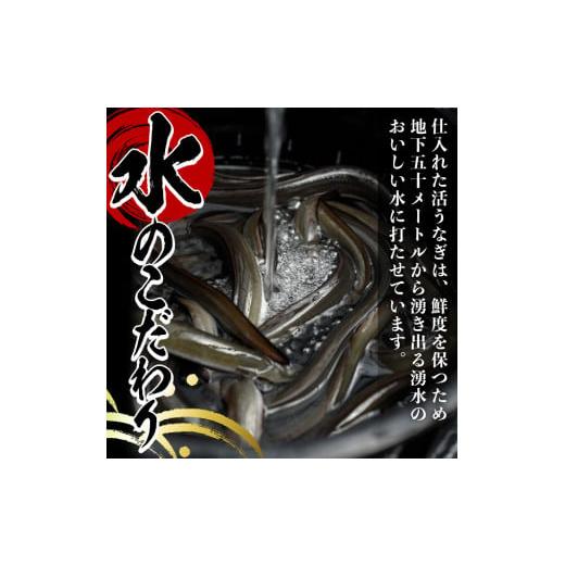 ふるさと納税 鹿児島県 湧水町 y134 国産！うなぎ白焼き(2尾・タレ付き) 国産 九州産 鰻 ウナギ 有頭 魚 魚介類 かばやき 蒲焼 蒲焼き しろやき 白焼 おかず …｜furusatochoice｜04