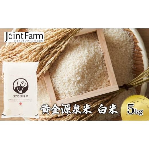 ふるさと納税 米 コシヒカリ 新潟県 田上町   黄金源泉米 白米