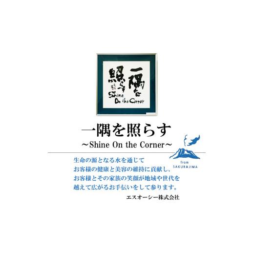 ふるさと納税 水・ミネラルウォーター 1L〜2L 鹿児島県 垂水市 C3-0836／飲む温泉水／温泉水99（1.9L×24本）の画像