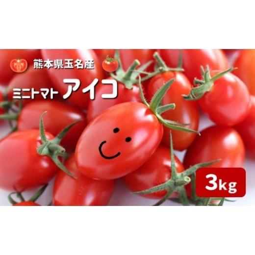 ふるさと納税 トマト ミニトマト 熊本県 玉名市 『かめまる農園』ミニトマト アイコ 3kg 熊本県玉名市産 | 野菜 やさい トマト とまと ミニとまと 熊本県 玉名…