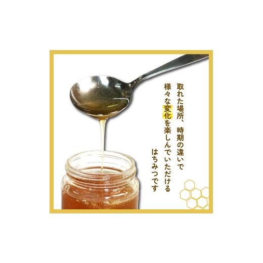 ふるさと納税 加工品等 はちみつ 静岡県 藤枝市 百花蜜 500g × 2本 計