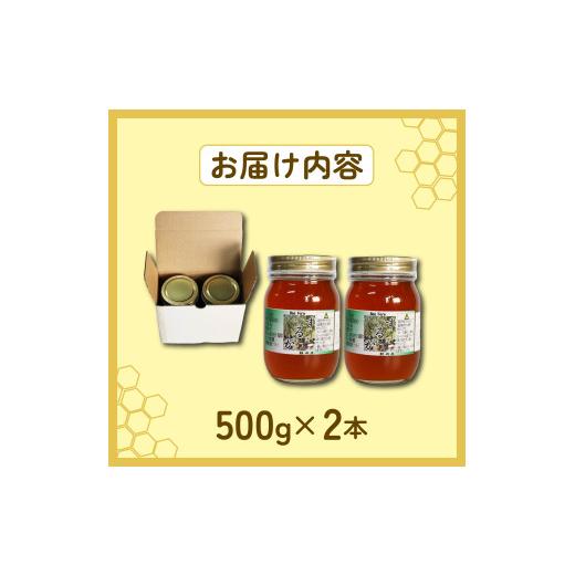 ふるさと納税 加工品等 はちみつ 静岡県 藤枝市 百花蜜 500g × 2本 計
