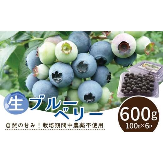 ふるさと納税 いちご 徳島県 吉野川市 ブルーベリー 生 600g 小分け 先行予約 2026年6月中旬〜発送分 生ブルーベリー 農家直送 果物 くだもの フルーツ ふるー…