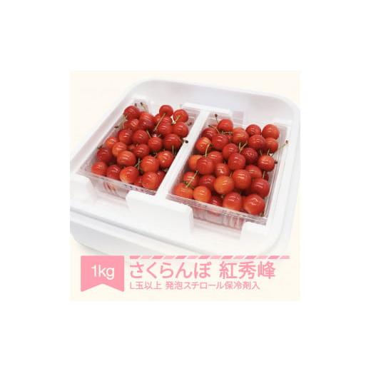 ふるさと納税 山形県 村山市 さくらんぼ 紅秀峰 2024年産 令和6年産 1kg詰 L玉以上 発泡スチロール梱包 mo-bshax1