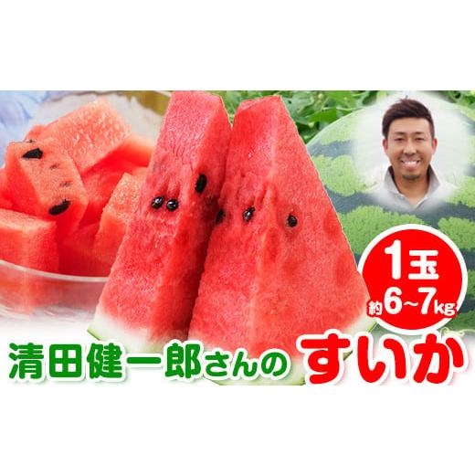 ふるさと納税 スイカ 熊本県 玉東町 『清田健一郎さん』のすいか 1玉約6-7kg 熊本県玉名郡玉東町『清田健一郎さん』すいか フルーツ 果物 熊本県産[4月下旬-4…