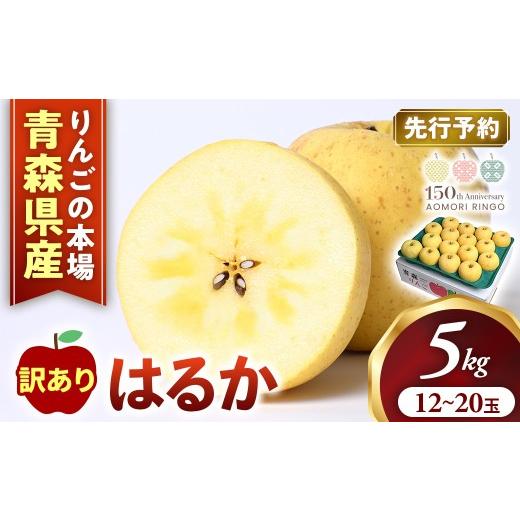 ふるさと納税 りんご 青森県 三戸町 訳あり 高級りんご はるか 約5kg(12〜20玉) 2026年産・先行予約 2026年12月上旬〜2027年1月中旬頃まで発送予定 りんご …