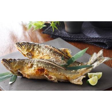 ふるさと納税 川魚 あゆ 島根県 美郷町 一級河川・江の川の恵み 生粋鮎 0.8kg 約800g 13尾前後 魚介類 魚 川魚 あゆ アユ 高鮮度 冷蔵 期間限定 季節限定