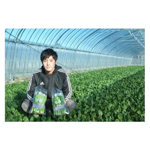 ふるさと納税 野菜類 岩手県 普代村 野菜 イケメン農家が育てた 普代村特産ほうれんそう 2,220g (185g×12袋)