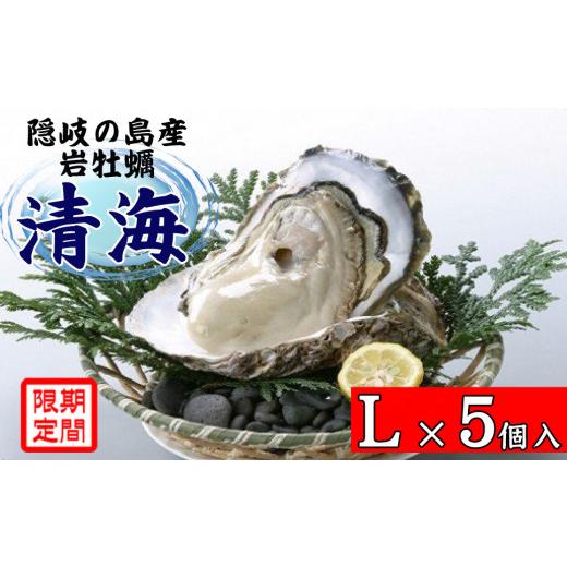 ふるさと納税 牡蠣 生牡蠣 島根県 隠岐の島町 0501 隠岐のいわがき「清海」L 5個セット