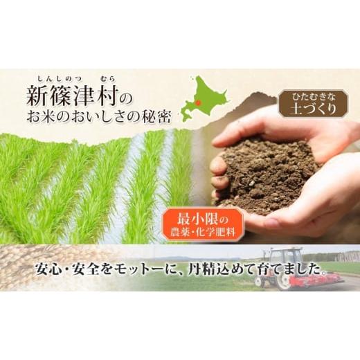 ふるさと納税 北海道 新篠津村 北海道 定期便 6ヵ月連続 全6回 R5年産 北海道産 ななつぼし5kg 精米 米 白米 ごはん お米 新米 特A 獲得 北海道米 ブランド米 … 北海道 精米 ななつぼし