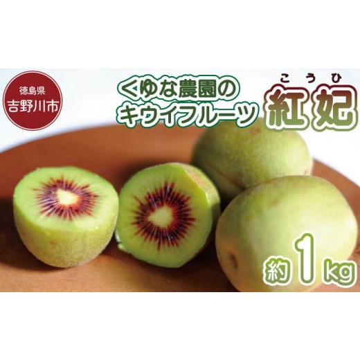 ふるさと納税 果物類 徳島県 吉野川市 先行予約 キウイフルーツ 紅妃 1.2kg 2026年10月上旬〜 紅妃 レインボーレッド キウイ 国産キウイフルーツ キウイフルー…