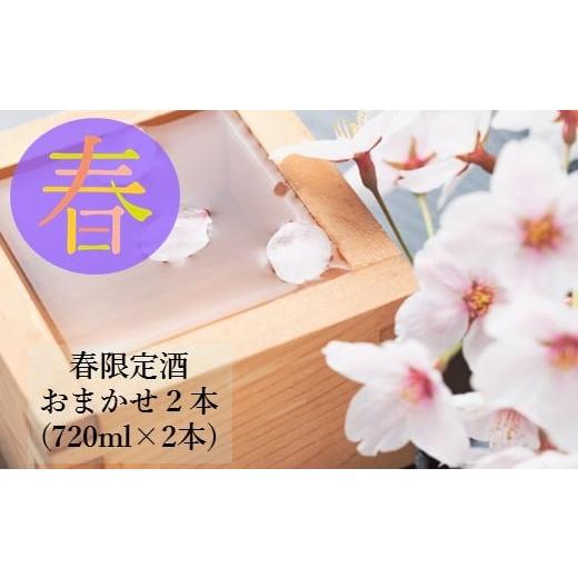 ふるさと納税 日本酒 佐賀県 鹿島市 B-116 酒処鹿島の春限定酒2本セット(720ml×2本)