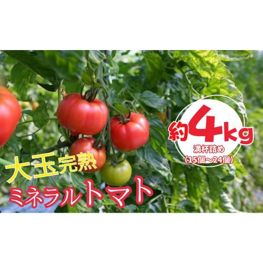 ふるさと納税 野菜類 トマト 茨城県 常総市 ミネラルトマト(大玉完熟トマト)4kg満杯詰め(15個〜24個) | 大玉 甘味 甘い 濃厚 ミネラル 旬 茨城県 常総市 2…