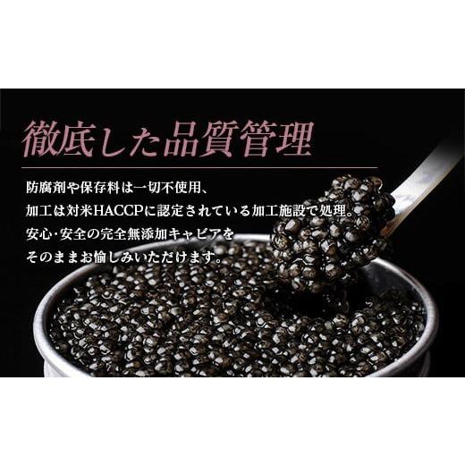 ふるさと納税 魚貝類 キャビア 宮崎県 日南市 数量限定 宮崎キャビア1983 バエリ 12g 2個 セット 魚卵 魚介 魚貝 キャビア 国産 水産物 おつまみ 世界三大珍味…