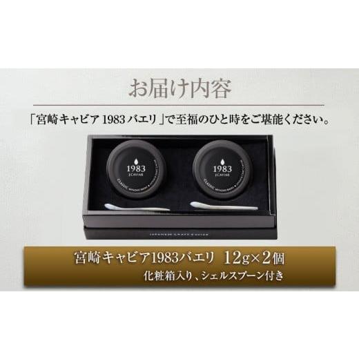 ふるさと納税 魚貝類 キャビア 宮崎県 日南市 数量限定 宮崎キャビア1983 バエリ 12g 2個 セット 魚卵 魚介 魚貝 キャビア 国産 水産物 おつまみ 世界三大珍味…