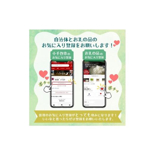 ふるさと納税 雑貨・日用品 玩具 新潟県 小千谷市 ダンボールおもちゃ ゾウのすべり台 フーゲツ | 雨の日も楽しい 段ボール製 滑り台 軽量ダンボール ダンボー…_6