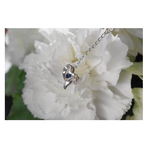 ふるさと納税 アクセサリー ネックレス 茨城県 行方市 Y-17 エンジェルハートペンダント(誕生石+ダイヤ入り)9月:サファイヤ 9月:サファイヤ