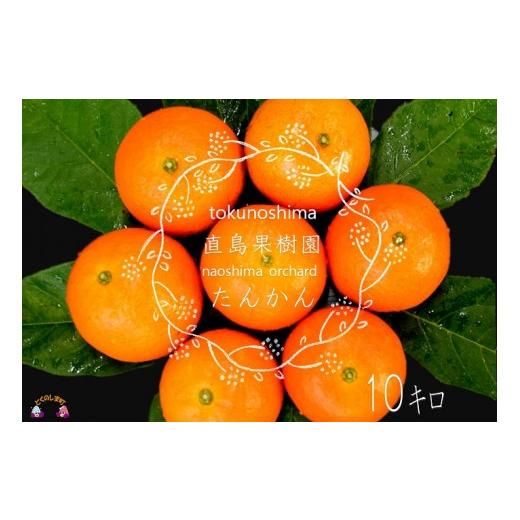 ふるさと納税 みかん・柑橘類 鹿児島県 徳之島町 559 今が旬 徳之島 直島果樹園さんのてぃだ(太陽)100%たんかん(秀品:10kg)