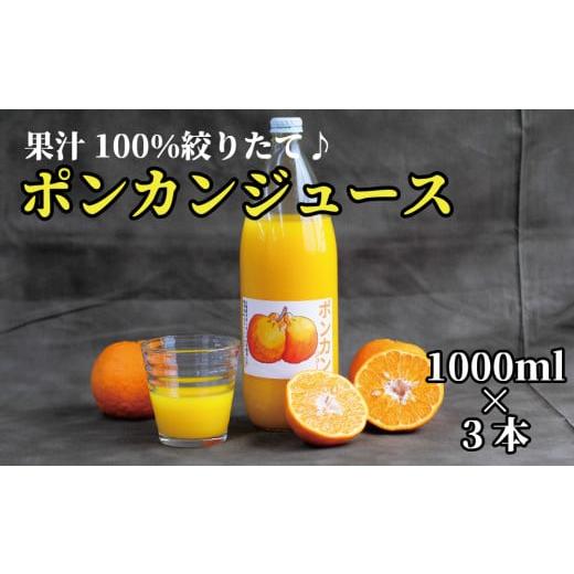 ふるさと納税 果汁飲料 和歌山県 太地町 太地町産 南紀たいじの 完熟 ポンカンジュース3本セット ぽんかん ポンカン ジュース 果汁 100% 太地 みかん みかん…