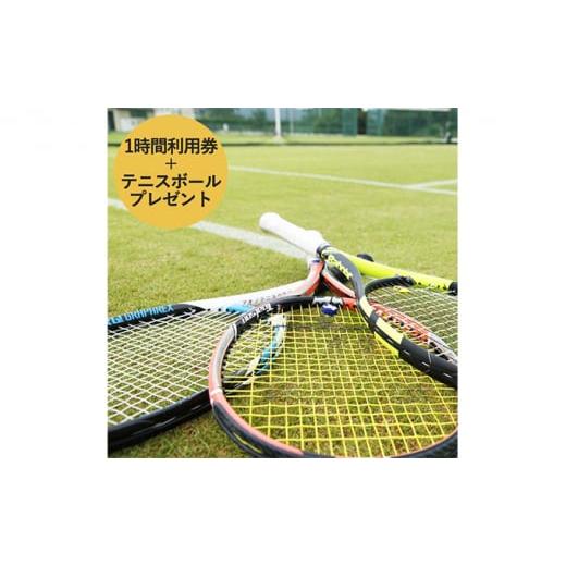 ふるさと納税 兵庫県 加西市 [関西唯一]天然芝テニスコート(1時間)利用券+テニスボールプレゼント