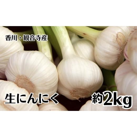 ふるさと納税 野菜類 ハーブ 香川県 観音寺市 生にんにく 約2kg 野菜 ニンニク 大蒜　_1
