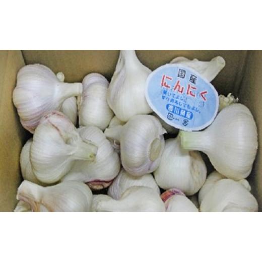 ふるさと納税 野菜類 ハーブ 香川県 観音寺市 生にんにく 約2kg 野菜 ニンニク 大蒜　_2