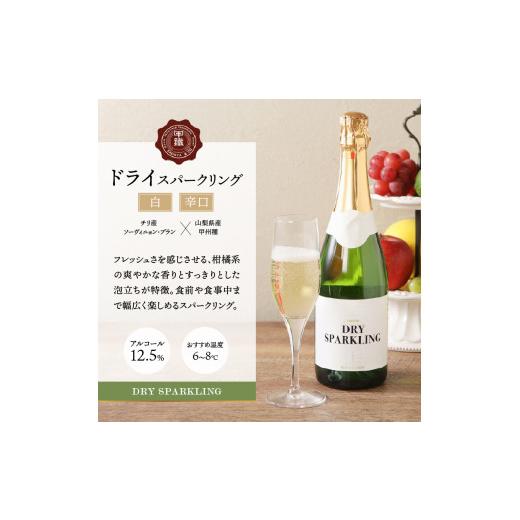 ふるさと納税 ワイン 白ワイン 山梨県 甲府市 山梨県産 サドヤ ドライスパークリングワイン 　720ml_3