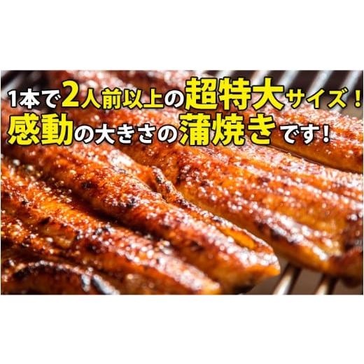 ふるさと納税 和歌山県 有田市 超特大国産うなぎ10本セット （200〜229g）(A269-1)｜furusatochoice｜03