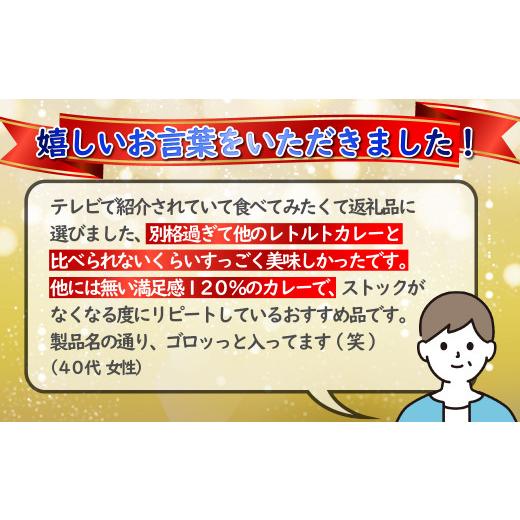 ふるさと納税 加工品等 レトルト 長崎県 佐世保市 2024北野エース カレー大賞 牛 テール 高級 カレー ゴロット 3個セット 豊味館 驚きの肉量 感動のやわらか…_6