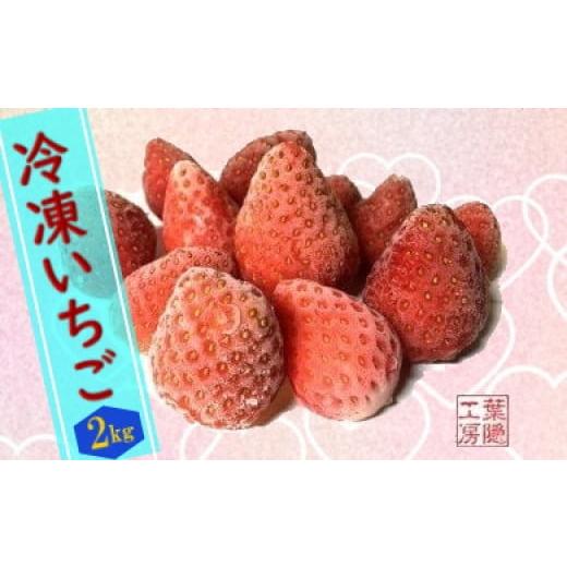 ふるさと納税 佐賀県 太良町 M-80 冷凍いちご 2kg