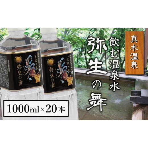 ふるさと納税 水・ミネラルウォーター 1L〜2L 山梨県 大月市 奇跡の飲む温泉水「真木温泉 弥生の舞」　飲泉力1000ml 20本入り 004-002_1