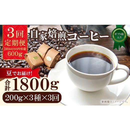 ふるさと納税 コーヒー コーヒー豆 鳥取県 日吉津村 3回定期便 コーヒー豆 自家焙煎コーヒー ギフト箱入り 600g×3回 豆