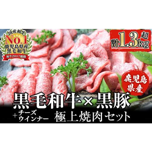 ふるさと納税 鹿児島県 志布志市 [入金確認後、2週間以内に発送!][鹿児島黒毛和牛・黒豚]お家でいただく極上焼肉セット b5-174-2w