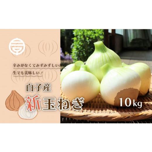ふるさと納税 野菜類 玉ねぎ 千葉県 白子町  令和８年の先行予約募集・数量限定 生で食べても美味しい 白子産の新玉ねぎ10kg たまねぎ 玉ねぎ 白子玉ねぎ スラ…の画像