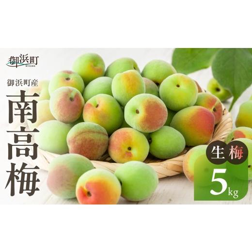 ふるさと納税 果物類 三重県 御浜町 和光工房の南高梅(生)5キロ 期間限定 梅 うめ 生梅 旬 南高梅 5kg 梅酒 梅シロップ 梅干し 梅ジュース 三重県 御浜町