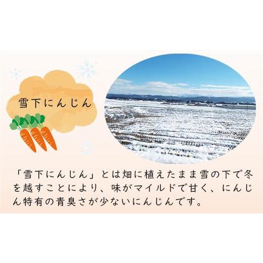 ふるさと納税 果汁飲料 にんじん 新潟県 - 津南高原の雪下人参ジュース　200ml×20本｜新潟　津南　新潟県　雪下　人参　ジュース　野菜ジュース　200ml　20本_4