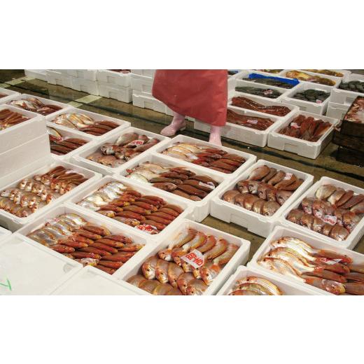 ふるさと納税 御菓子 煎餅 島根県 大田市  訳あり 割れ煎餅 体に人懐っこい「かまぼこ屋さんの鯛せんべい」 訳蟻 煎餅 せんべい 割れせんべい 和菓子 御菓子 お兄ちゃん …