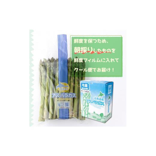 ふるさと納税 北海道 遠別町 遠別産アスパラ2色セット（緑白）各約500g　計約1kg【2024年4月下旬から発送開始】｜furusatochoice｜03