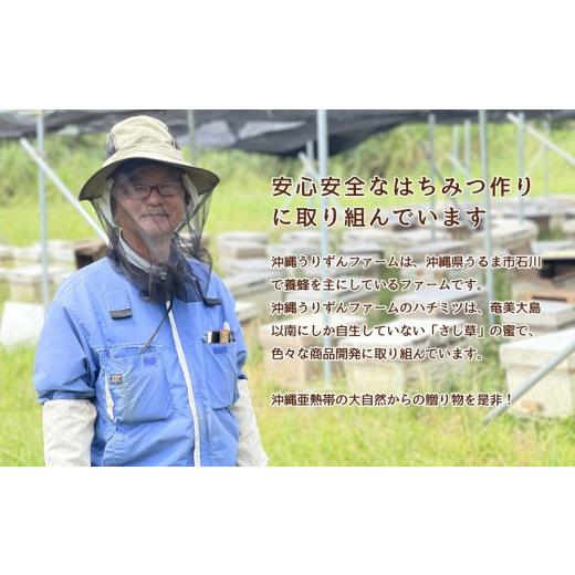 ふるさと納税 加工品等 はちみつ 沖縄県 うるま市 うるま市で採れた「サシ草はちみつ」230g×2本セット_2