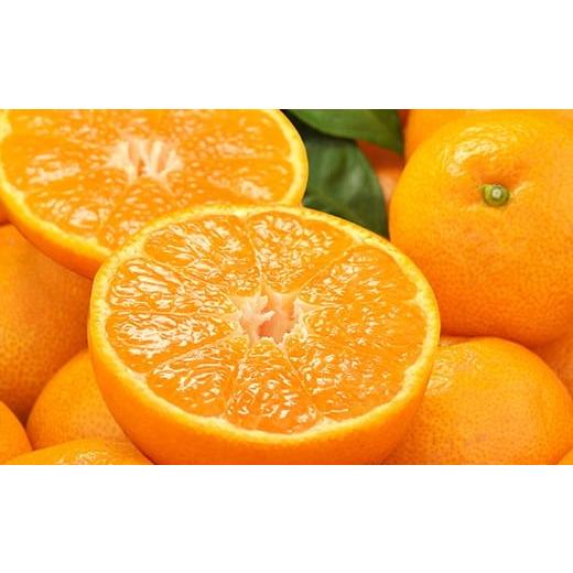 ふるさと納税 果物類 みかん 和歌山県 北山村 予約受付 田村みかん 秀品5キロ/サイズおまかせ 2026年11月下旬〜2027年1月中旬頃に順次発送予定(お届け日指…